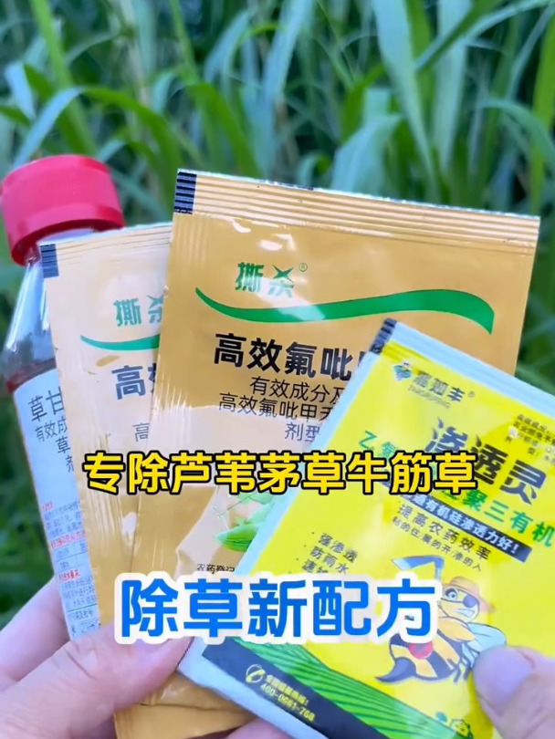 芦苇除草剂,高效且对土壤无害