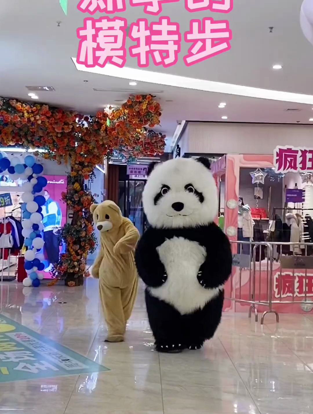 给大家展示一下我的新才艺,搞笑网红熊