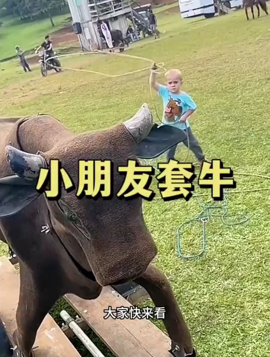 小朋友套牛,套的真准
