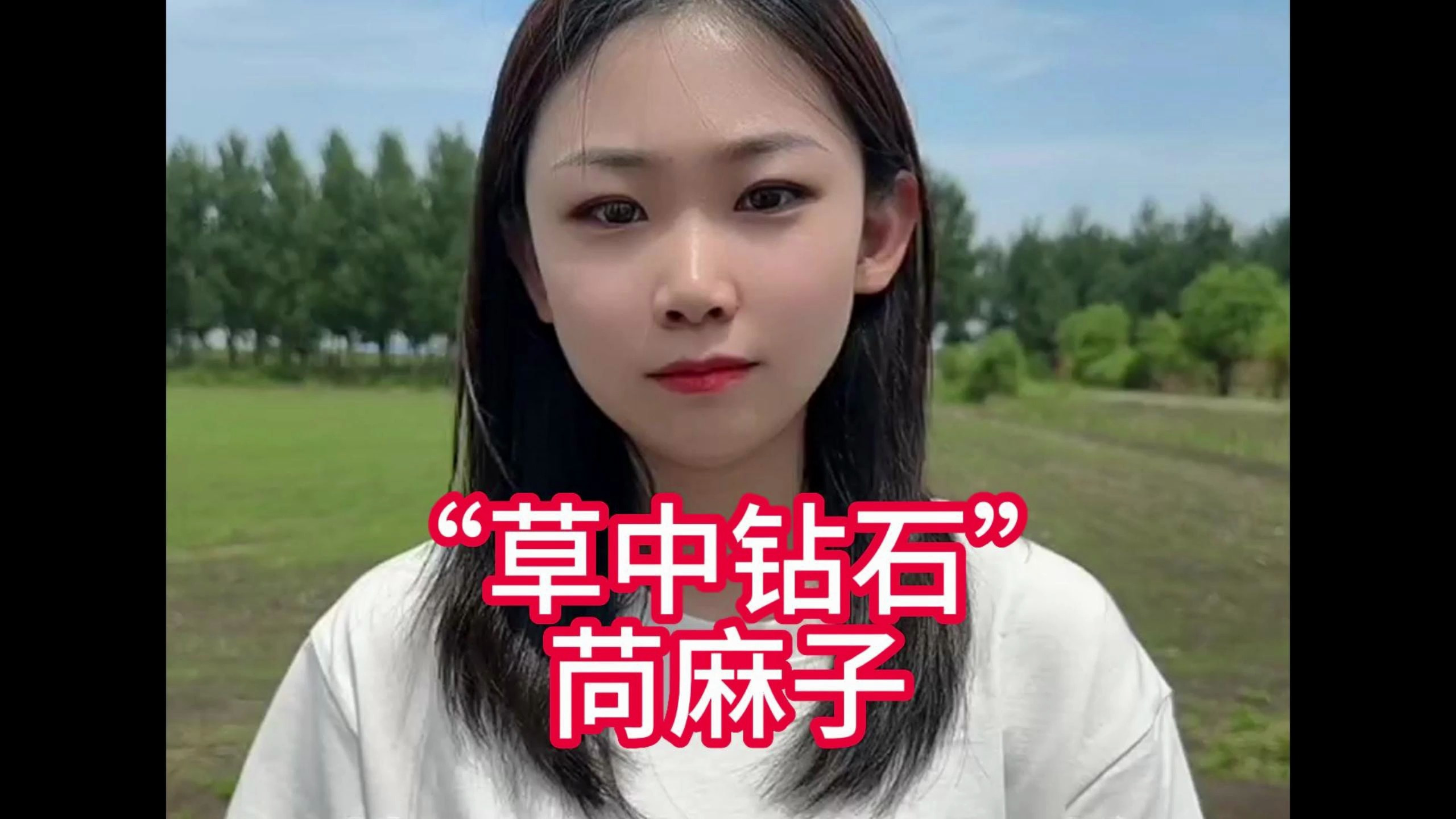 “草中钻石” 苘麻子