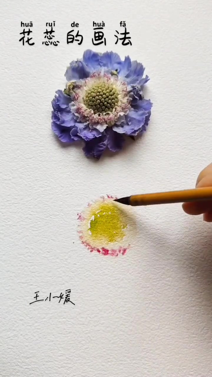 花蕊怎么画呀其实很简单随意一点咯