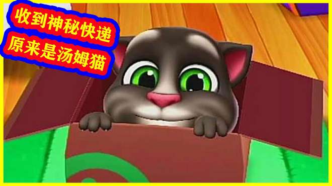 [图]我的汤姆猫2：收到一个神秘快递，是我们熟悉的它，快来照顾！