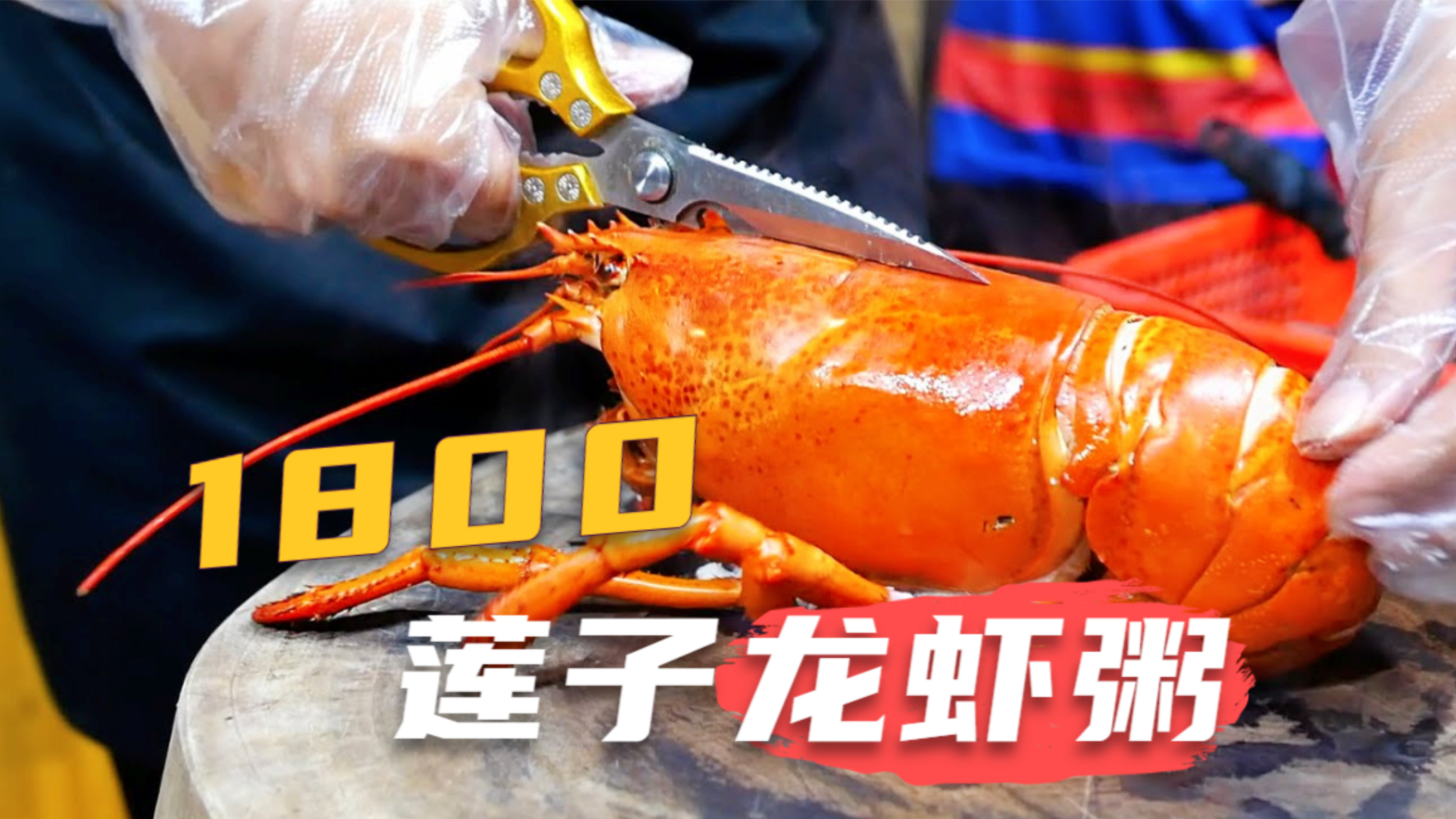 4斤大龙虾做成粥,一大碗就要1800,女顾客络绎不绝