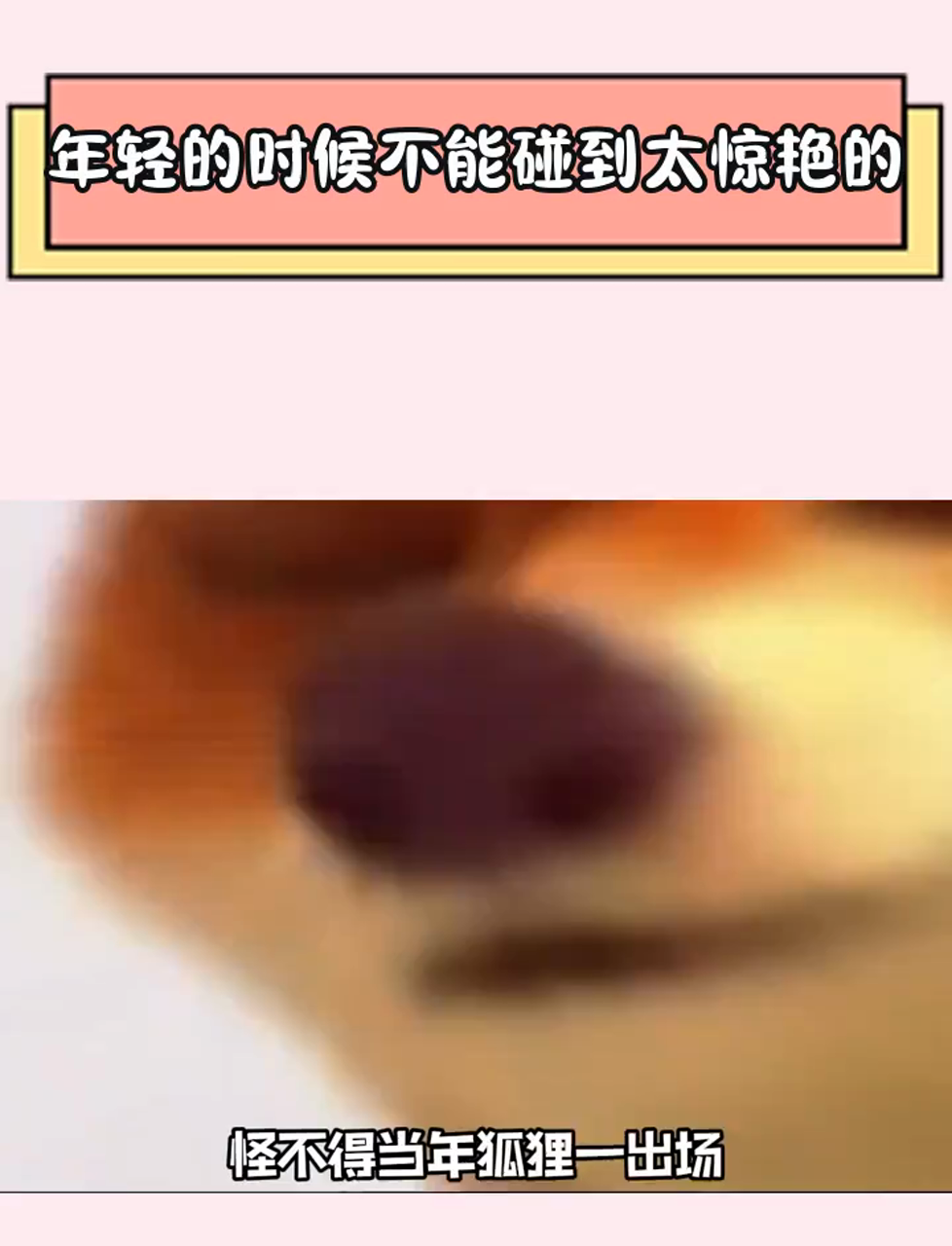 狐狸尼克的假儿子图片