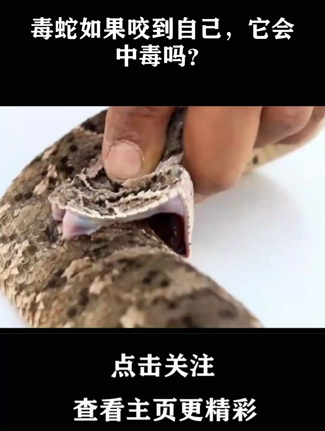 1080_1429竖版 竖屏