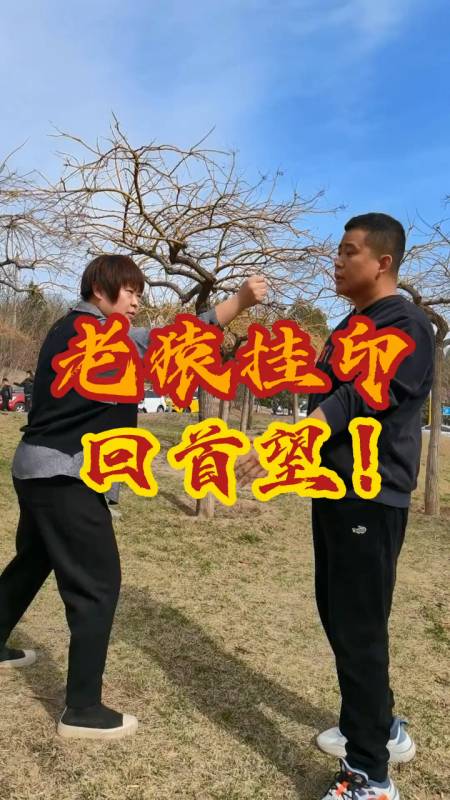 老猿挂印回首望!形意拳 李一平-度小视
