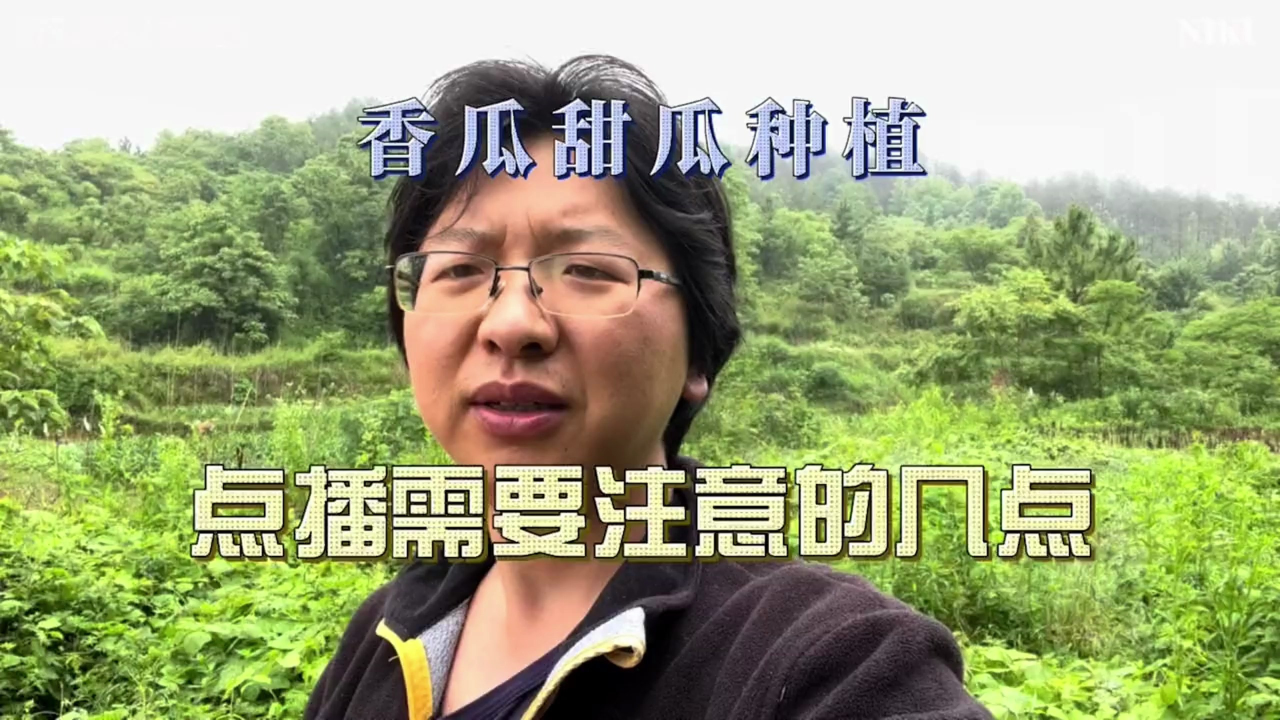 香瓜甜瓜种植方法技术,直接点播时需要注意的几点,细节很关键