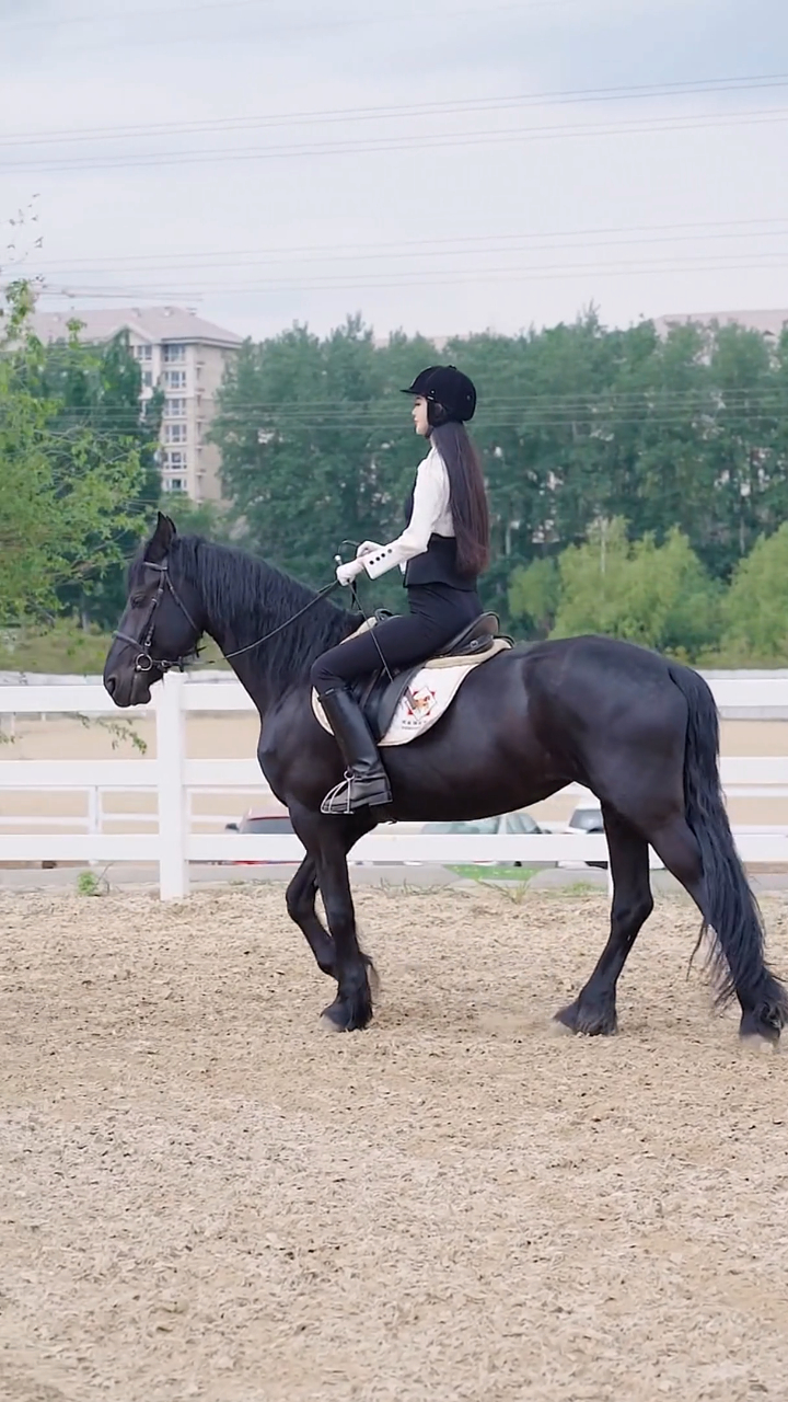 黑马女骑士!太酷啦