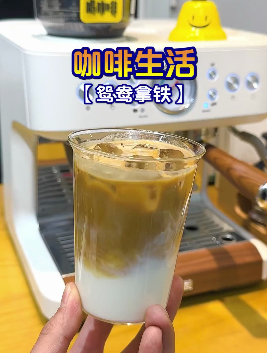 冰的鸳鸯拿铁真的很赞,宝藏做法来啦,好喝到炸裂-度小视