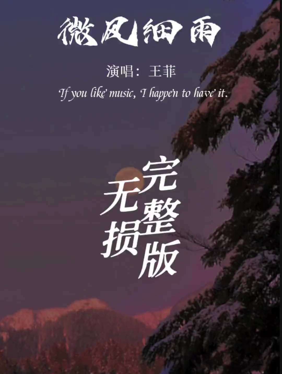王菲《微风细雨》完整版,每个音符都好悦耳动听,好听到酥了-度小视