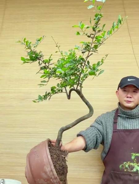 金弹子还可以这样破杆拿弯?