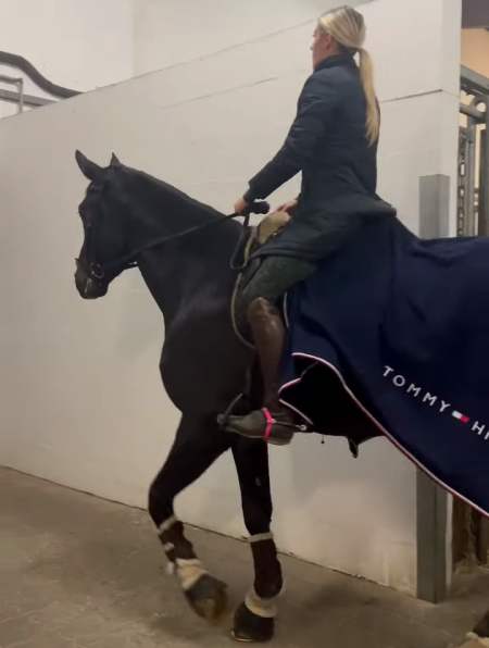 都是高手美女无鞍无疆骑乘老外骑马的美女超气质