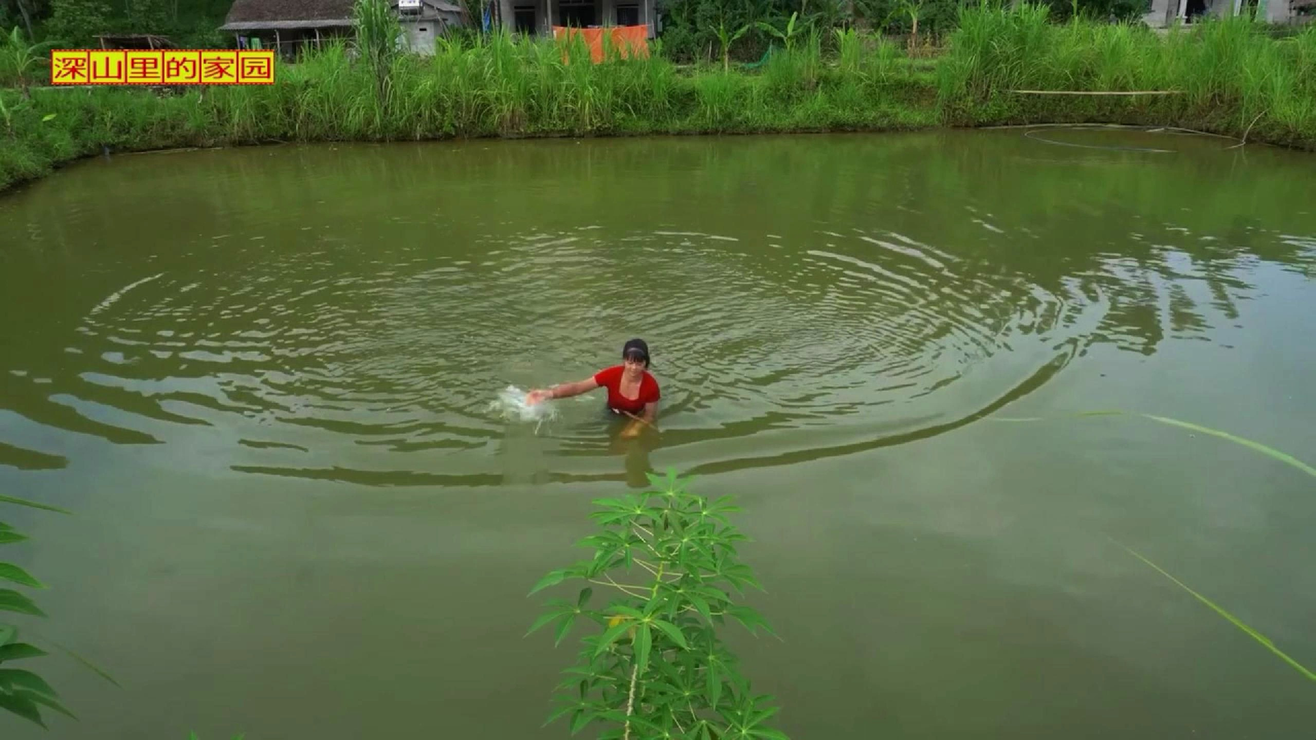 承包鱼塘两小时,收获活鱼一盆!这生意是赚还是亏?