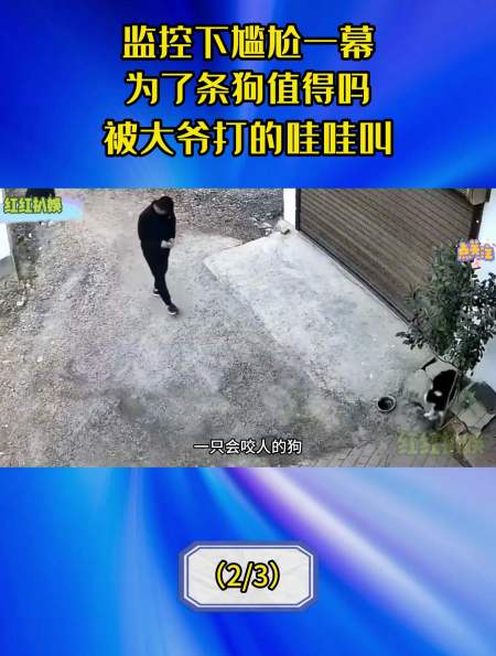 监控下的一幕男子偷狗被当场抓获被大爷打的哇哇叫2