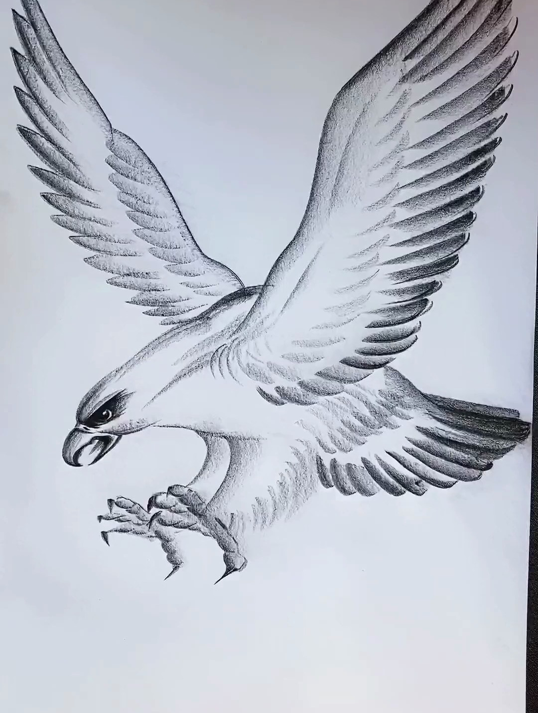 老鹰怎么画老鹰的笔画图片
