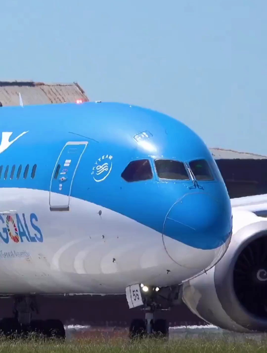 厦航b787,小白鹭出镜就是亲切啊