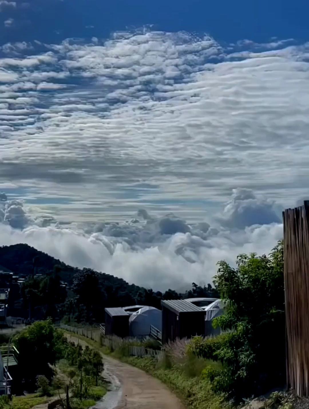 黑白风景:有的路,你必须一个人走,这不是孤独而是选择