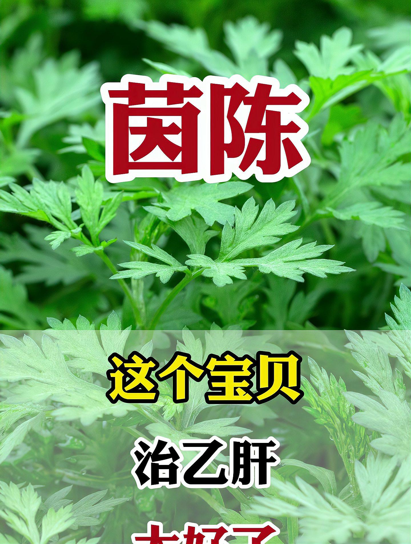这个宝贝治乙肝太好了