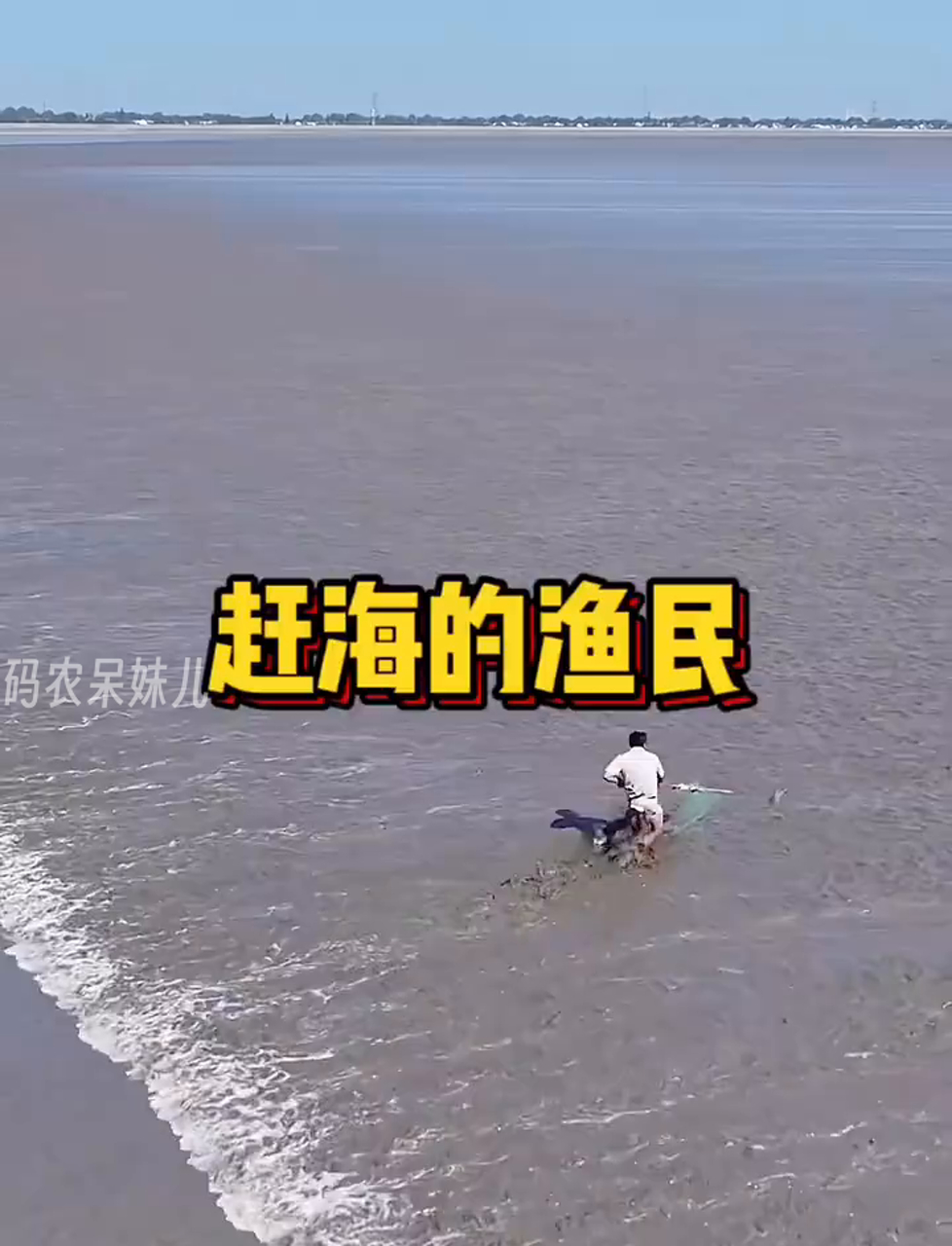 海边捞鱼的渔夫们