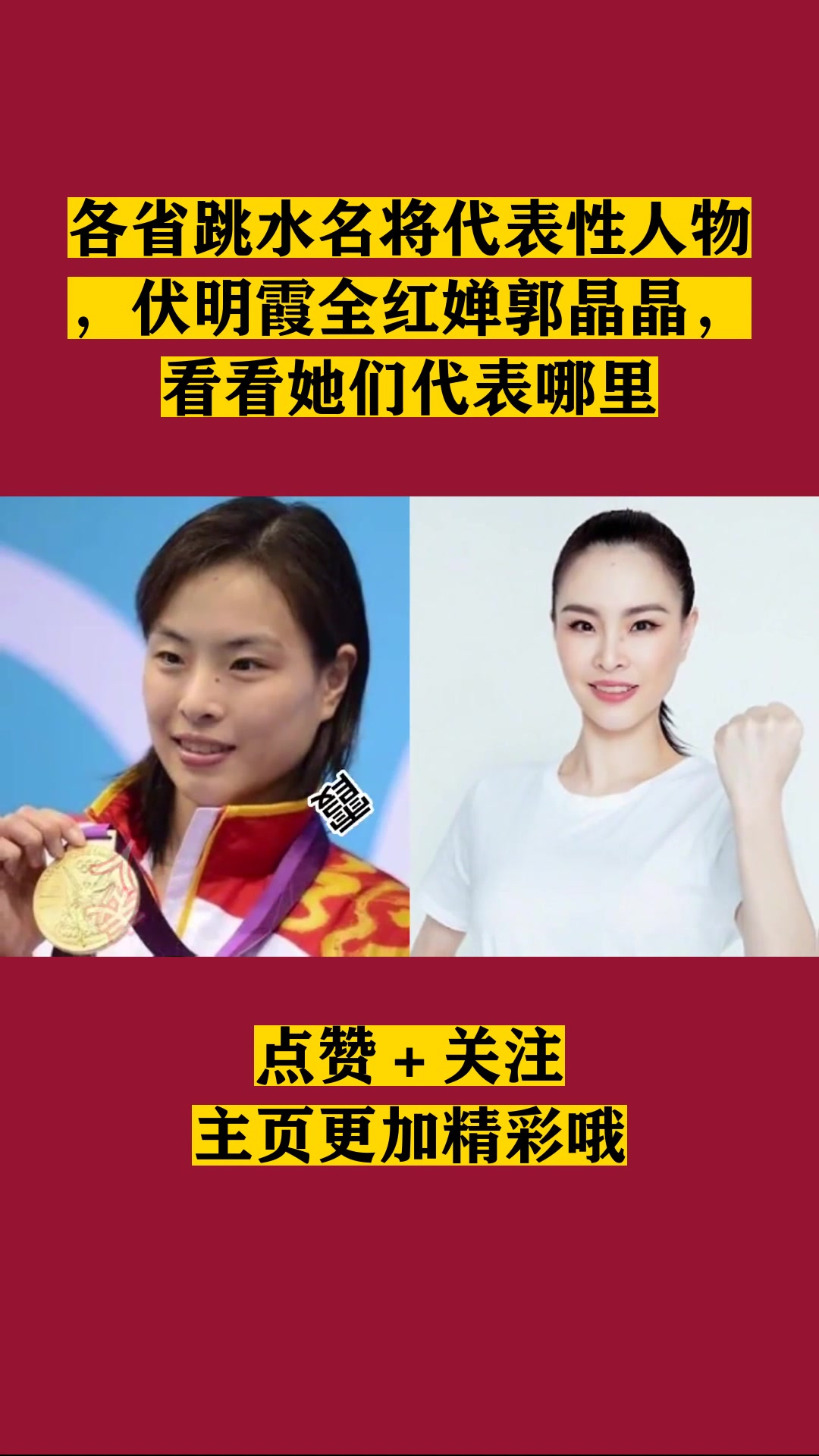 各省跳水名将代表性人物伏明霞全红婵郭晶晶看看她们代表哪里
