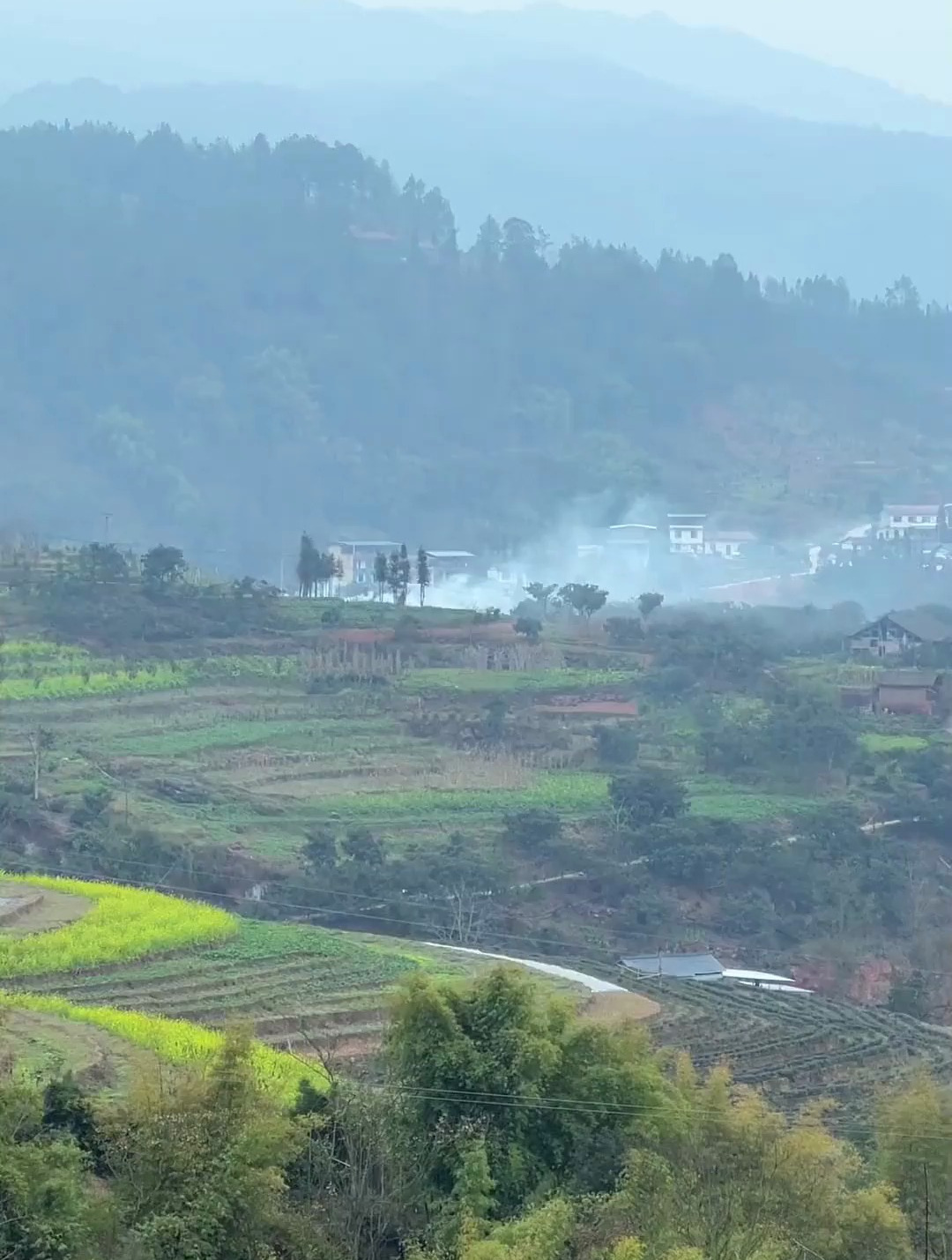 乡村的早晨,没有车水马龙人潮拥挤,只有熟悉的味道和满满的回忆