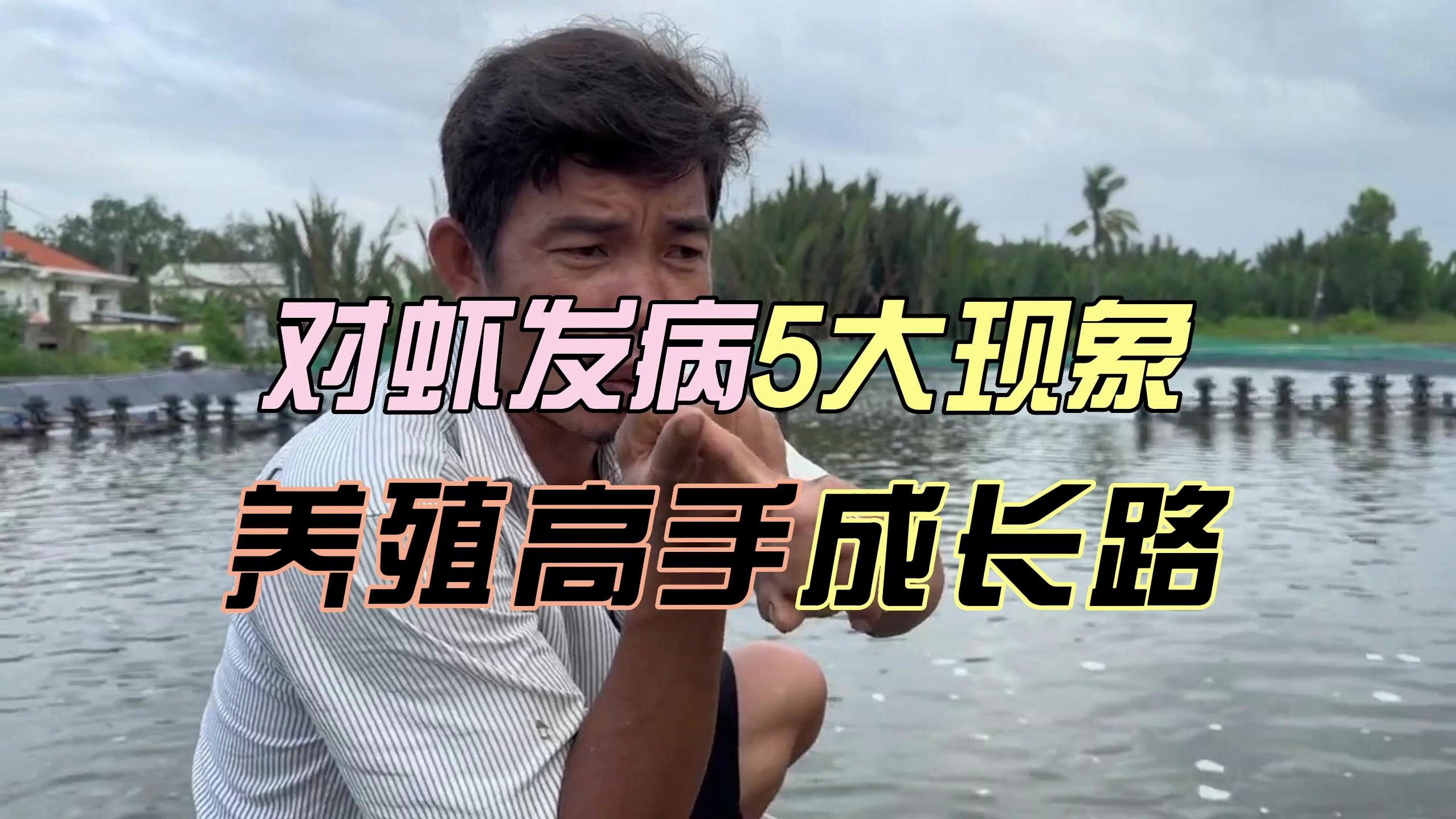 对虾发病,有5大现象!养殖高手必学技巧!