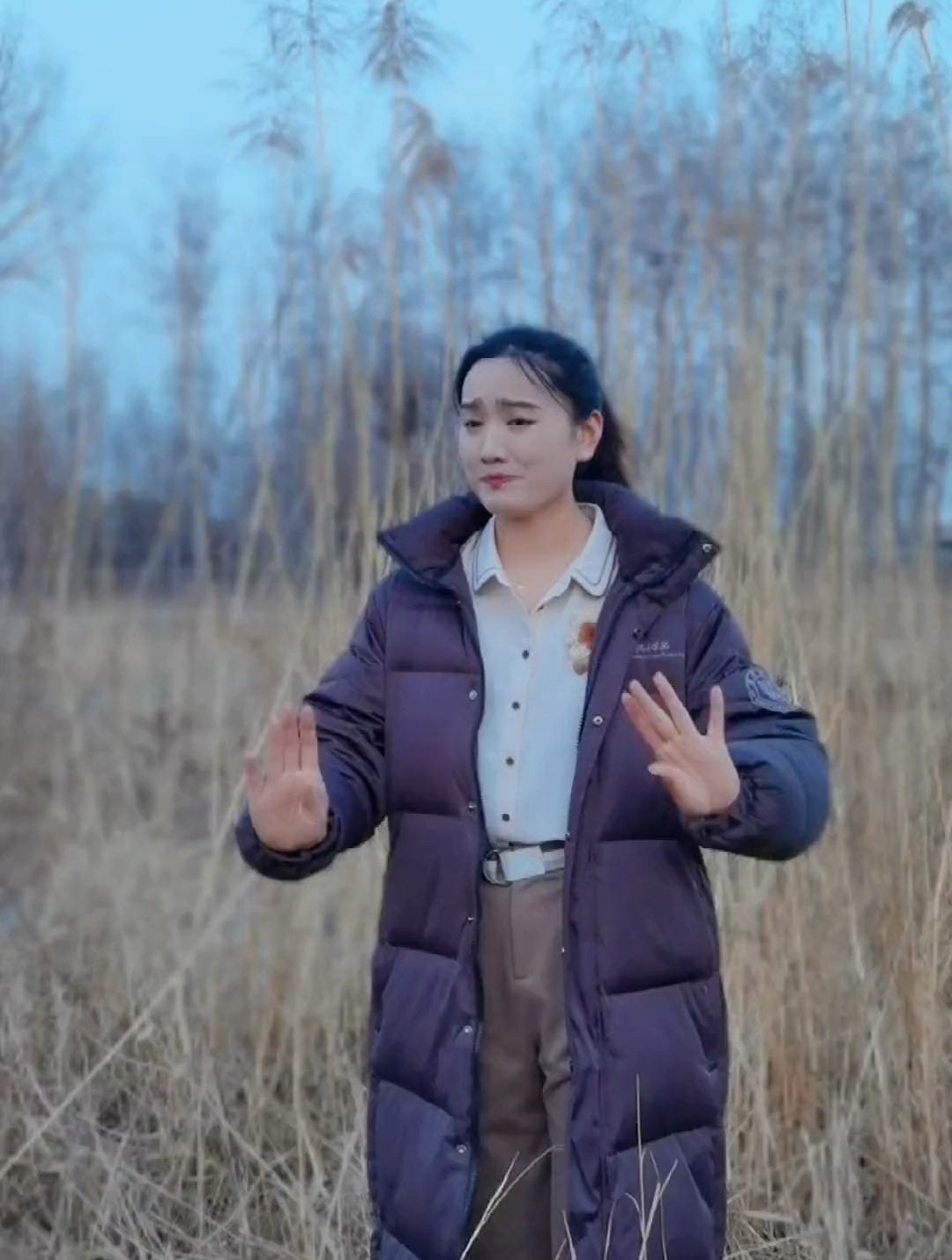 dou见非遗 原创视频 豫剧演员王英姿 传统文化 豫剧白蛇传