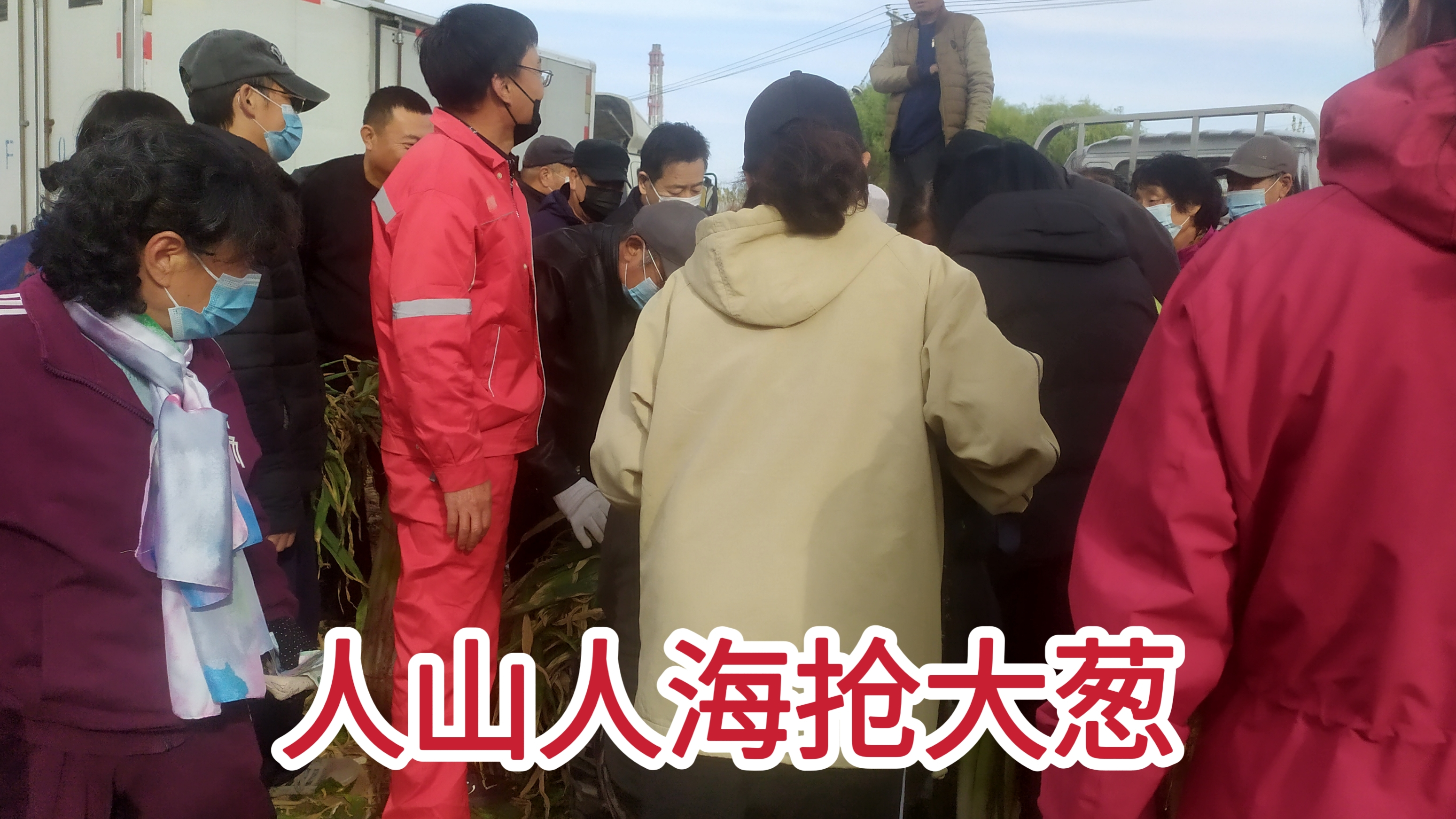 实拍东北买菜的震撼场面,大爷大妈买菜像不要钱,成捆买毫不犹豫