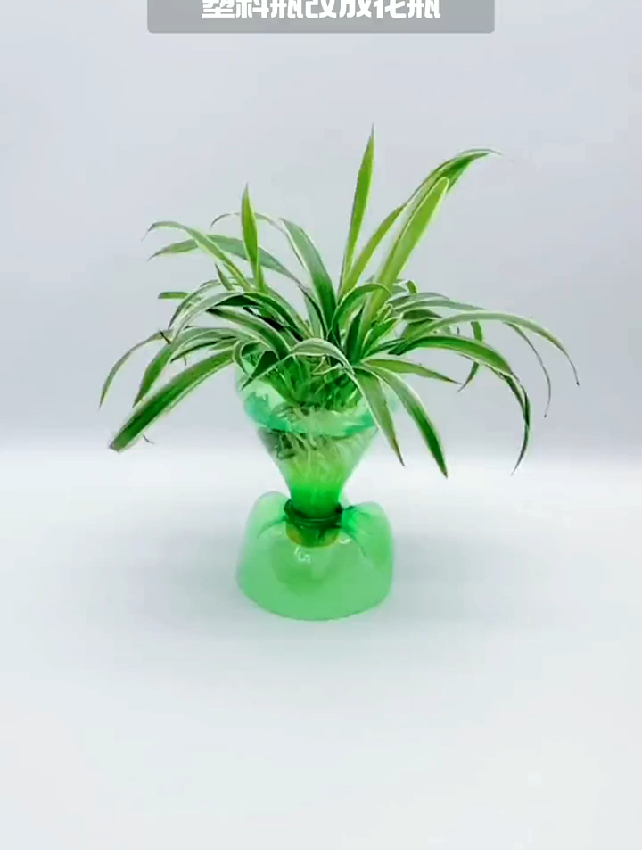 塑料瓶可别丢,3步就能变花瓶,用来养花棒极了自制花盆 生活小窍门-度