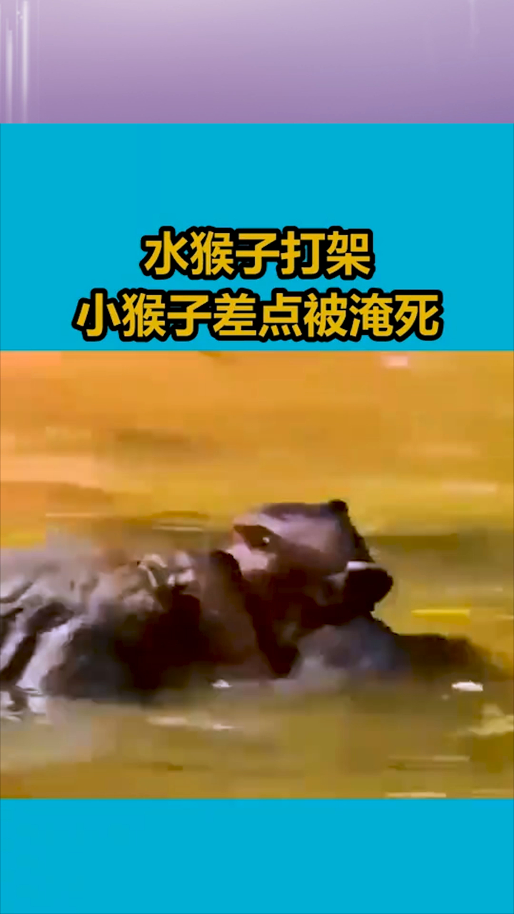 大战水猴子图片