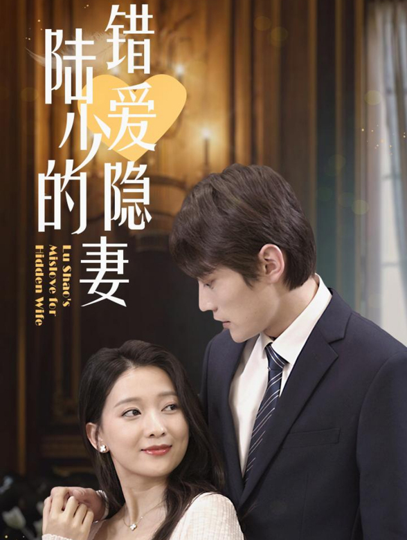 陆少的错爱隐妻