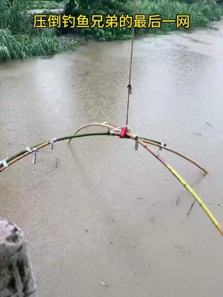 鱼:……回去给我裹上十斤面粉,打二十个鸡蛋 我这一辈子也值了-度小视