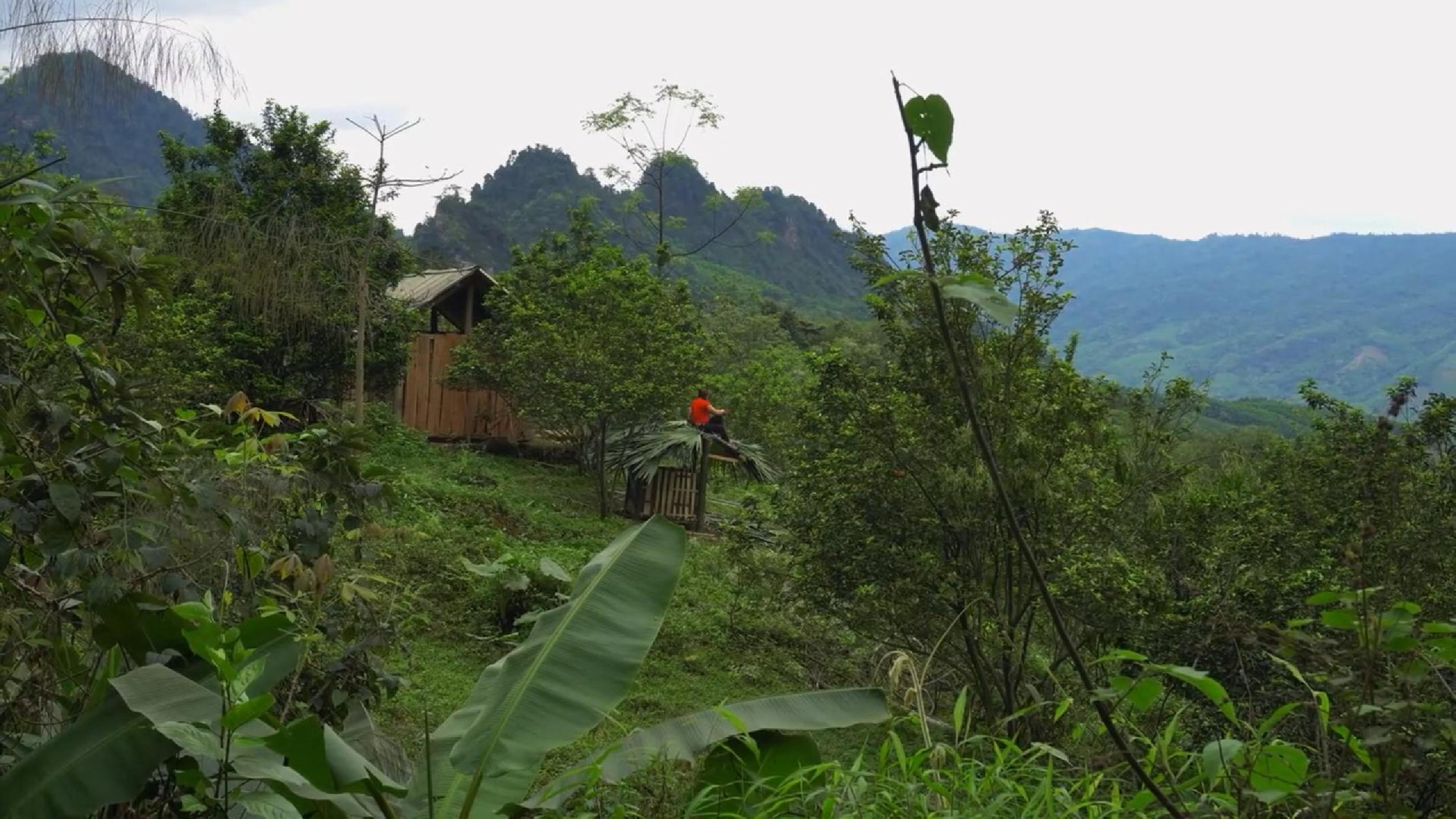 第一时间搭建鸡棚,这深山荒野的生活,就有第一道保障了!