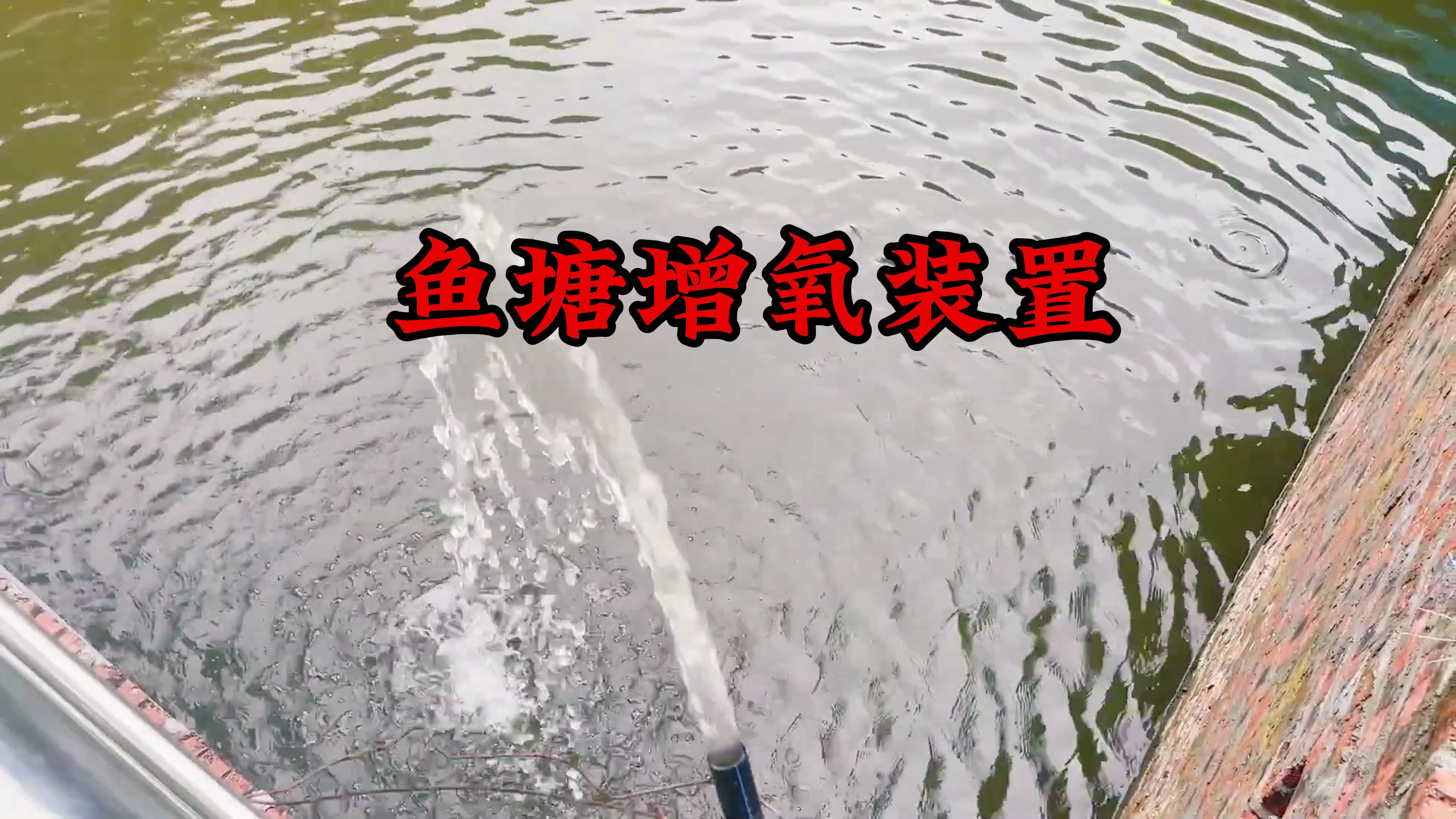 怎么给鱼塘增氧 只需简单的材料就能制作一个鱼池氧气增氧装置