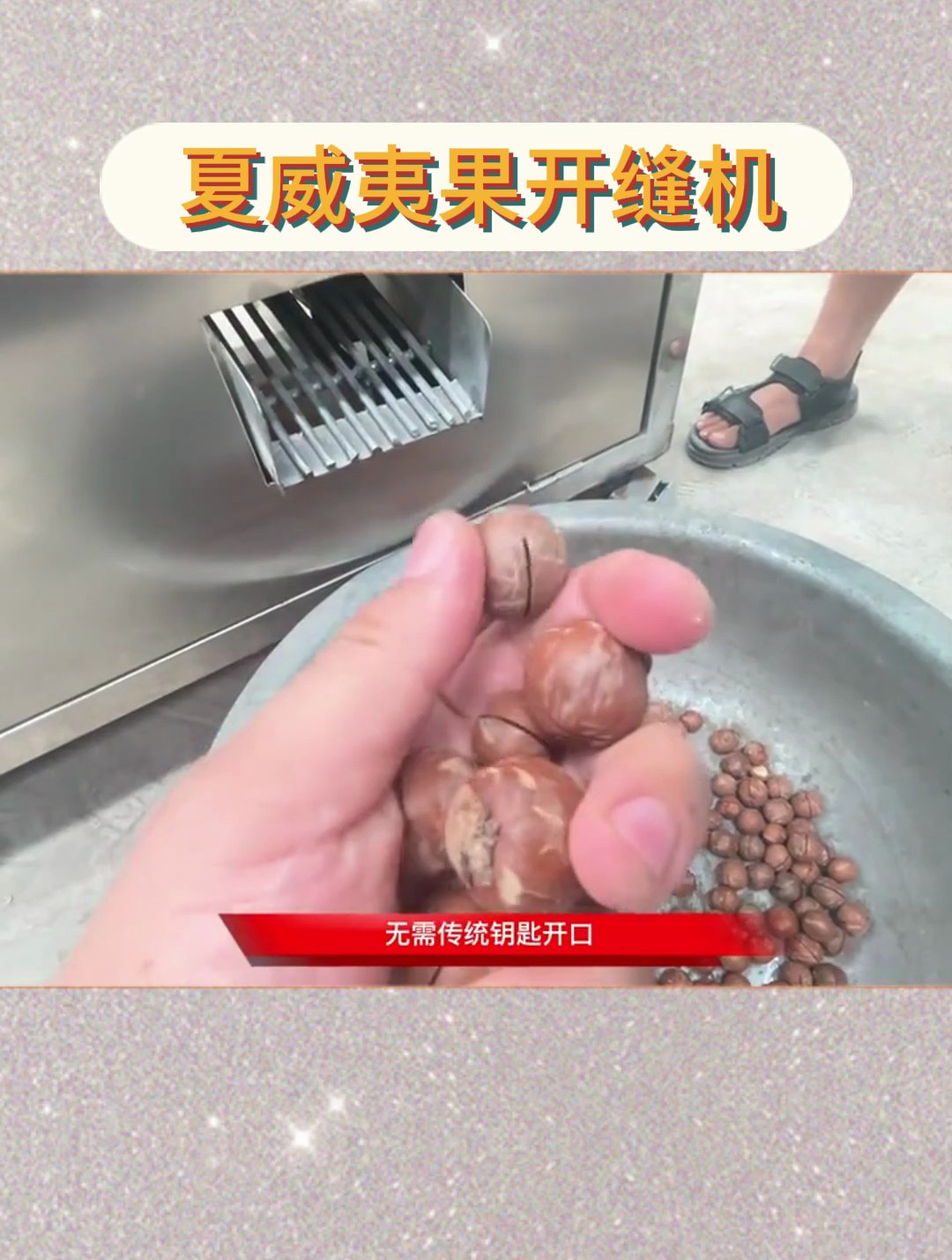 夏威夷果开缝机 澳洲坚果划口机 多功能坚果开口设备