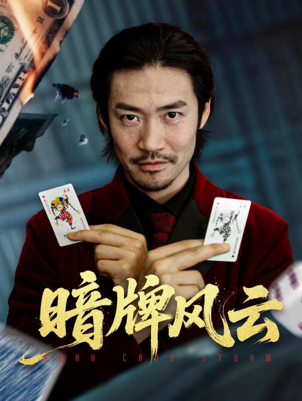 暗牌风云封面图