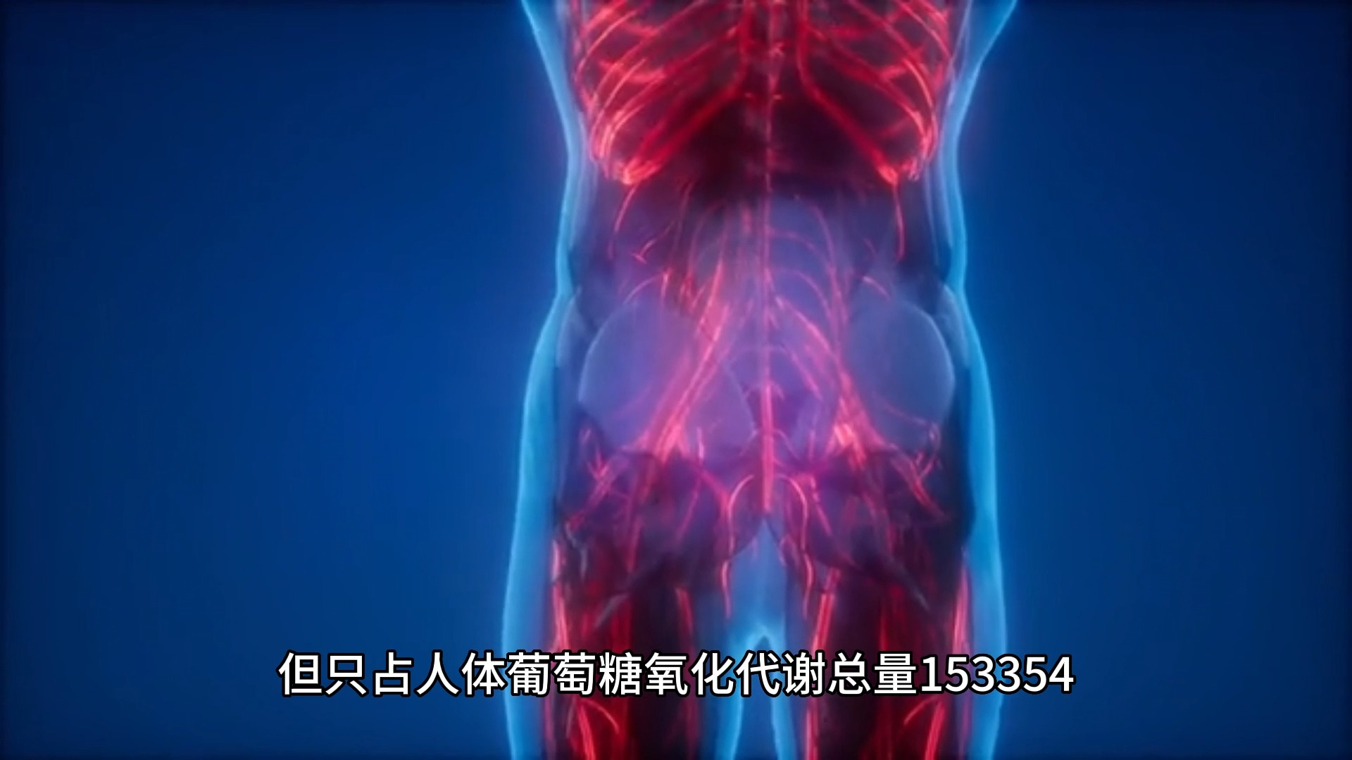 抖腿也能减肥?!——比目鱼肌俯卧撑的神奇效果