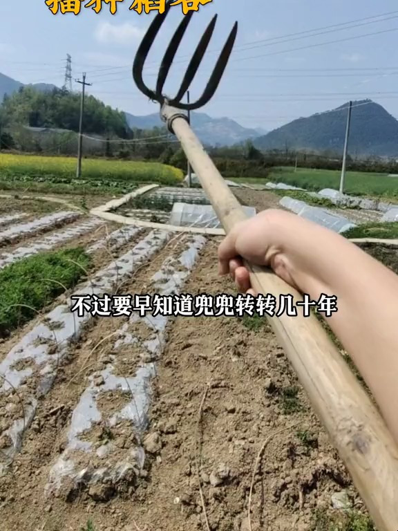 早就该接受我父王的传承了,说不定现在一口气能挖两亩地了!新?