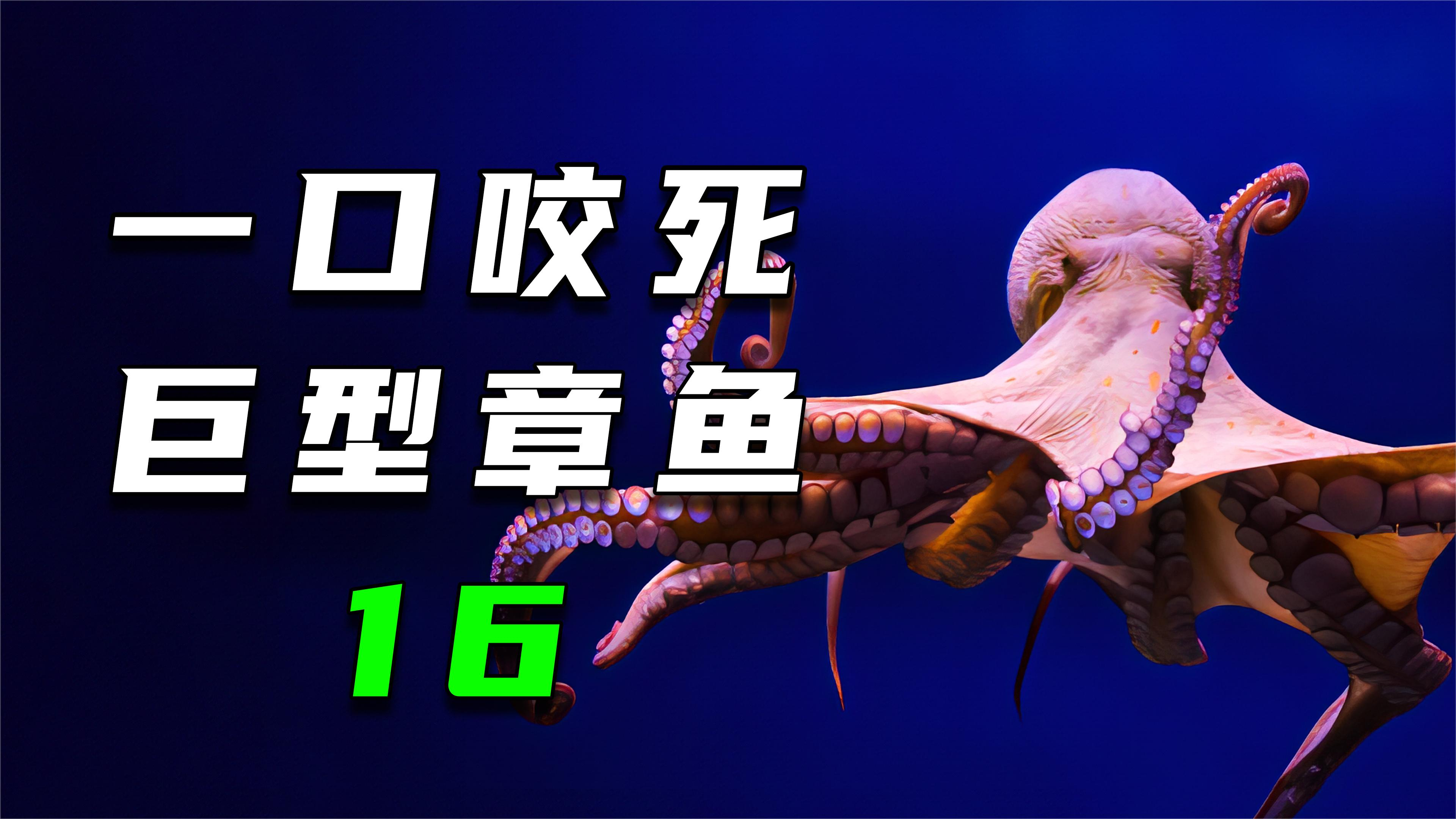 在海里被章鱼缠住怎么办?老李嘴功了得,直接咬死章鱼