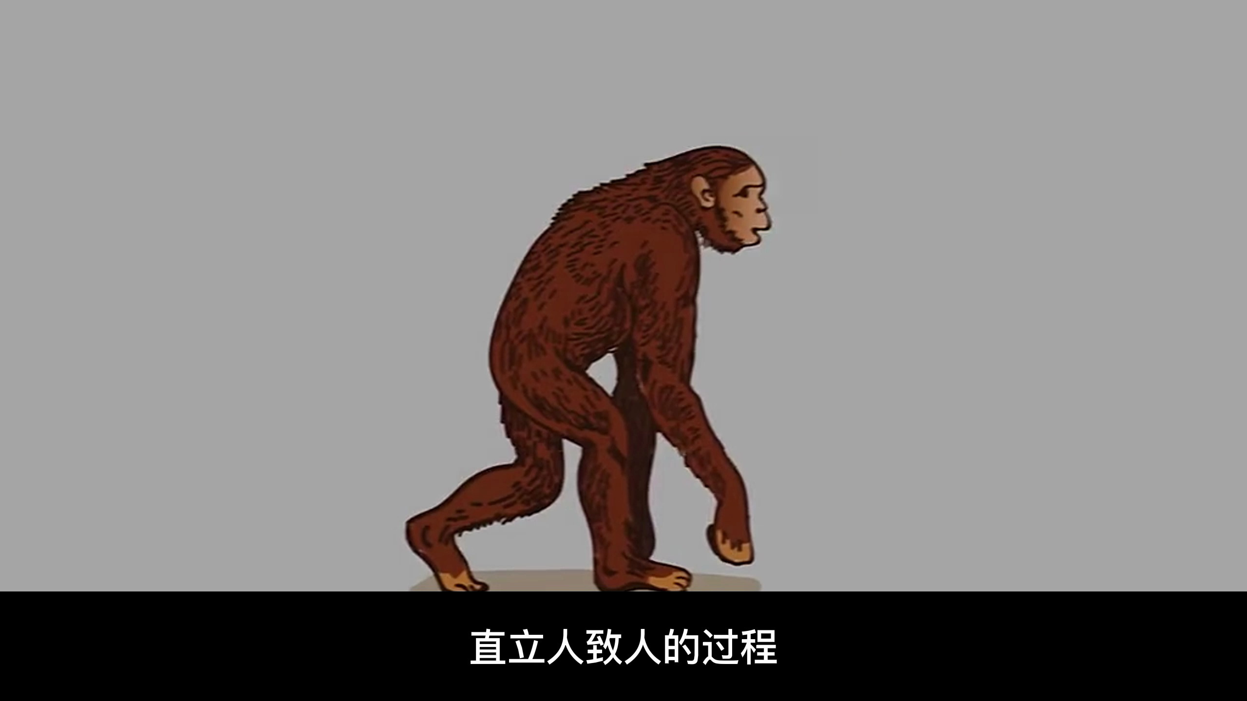 原来人类是鱼进化来的,从鱼到人演化需要近5亿年!
