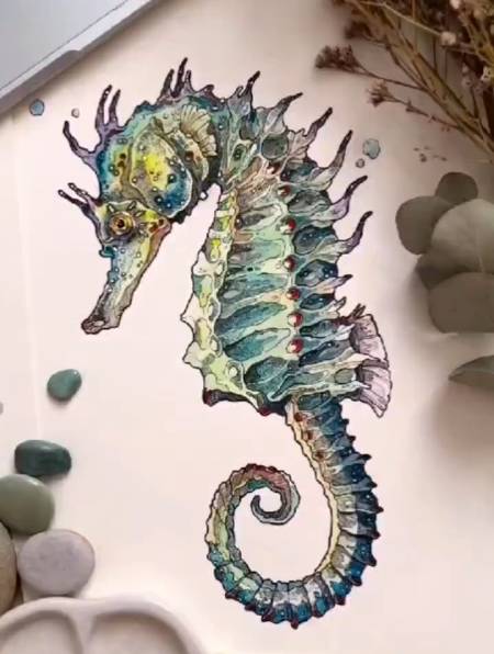 irenemniconi绘画海马(来源:佩恩灰)-度小视