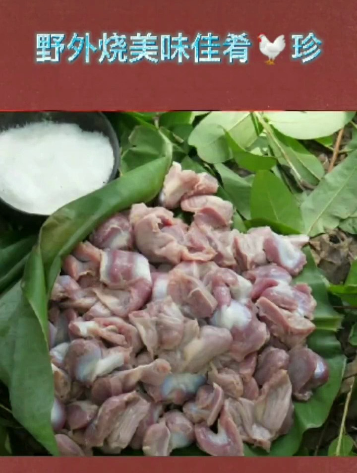 野外烧鸡胗,谁吃谁开心!三个野人小孩的表演!