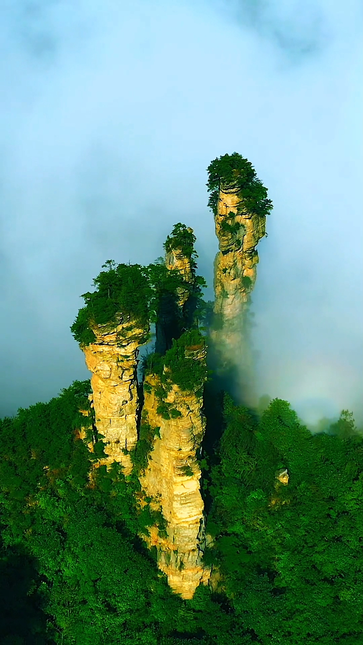 俯瞰张家界五指峰,别有一番韵味