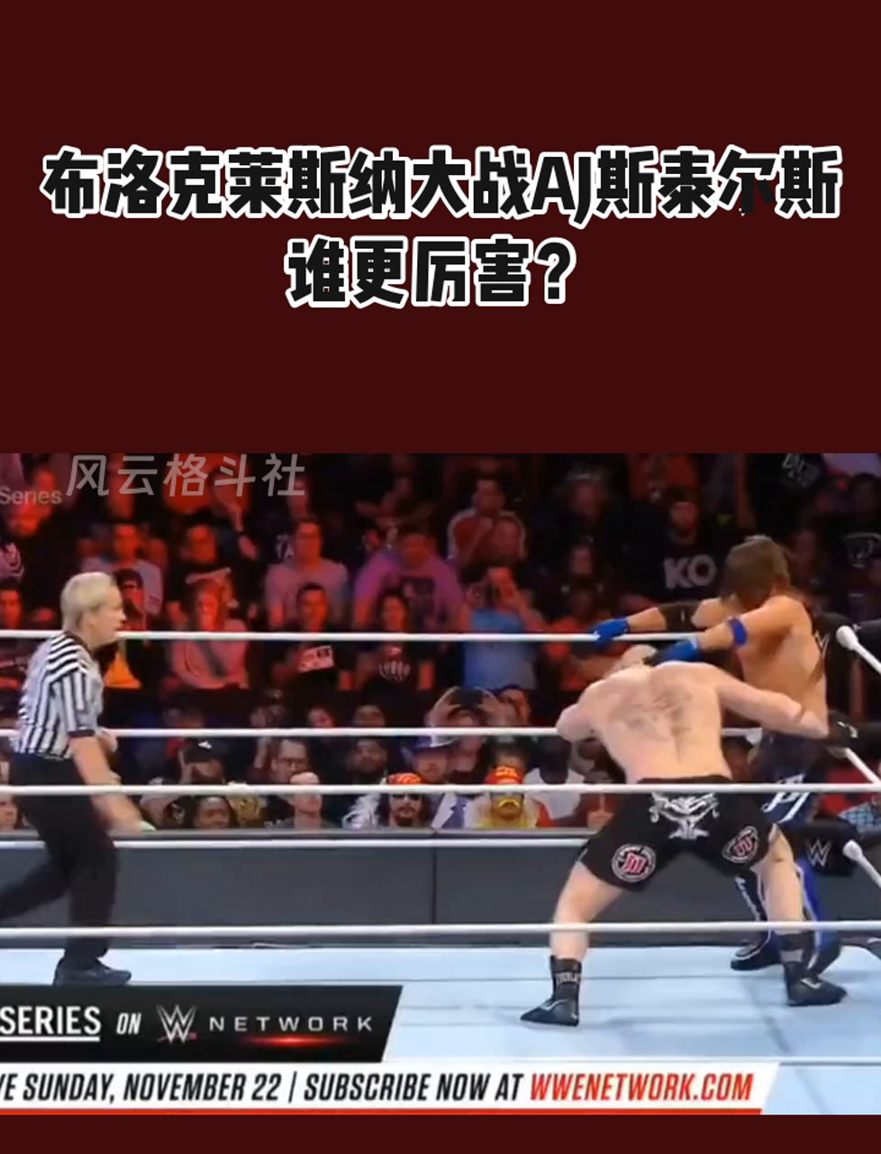 布洛克莱斯纳大战aj斯泰尔斯,谁更厉害?