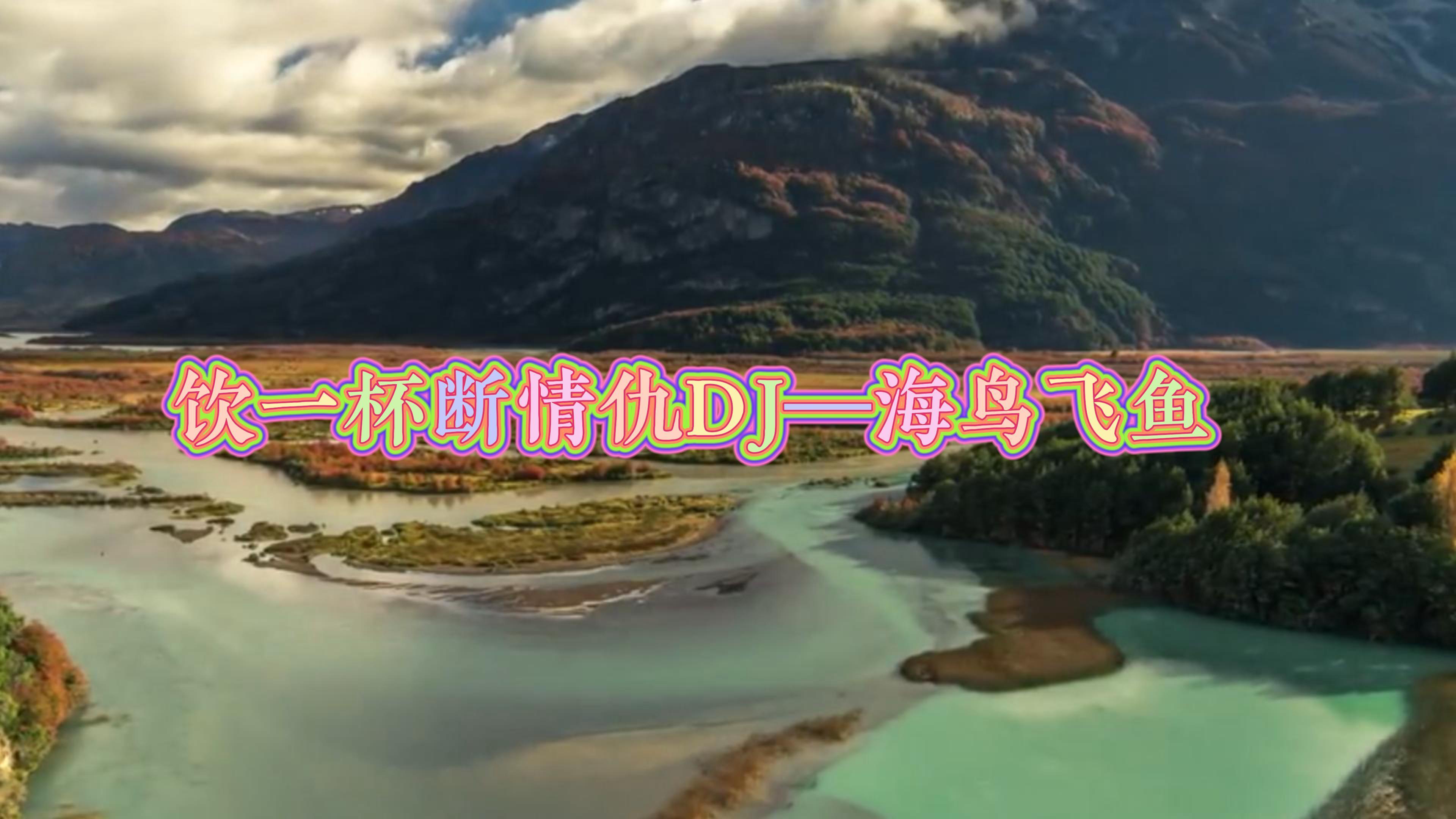 饮一杯断情仇dj—海鸟飞鱼