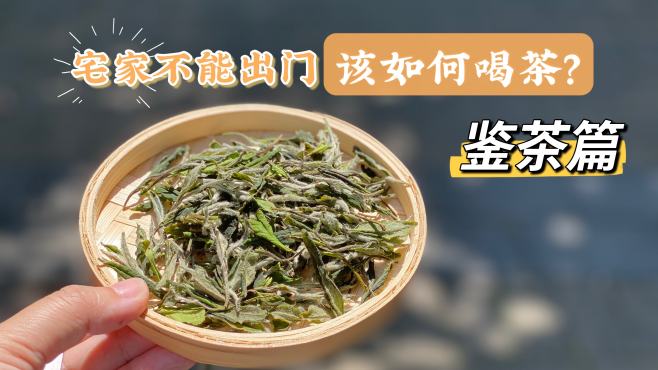 [图]入行这些年，村姑陈觉得最好用的3个鉴茶技巧，轻松鉴定白茶品质