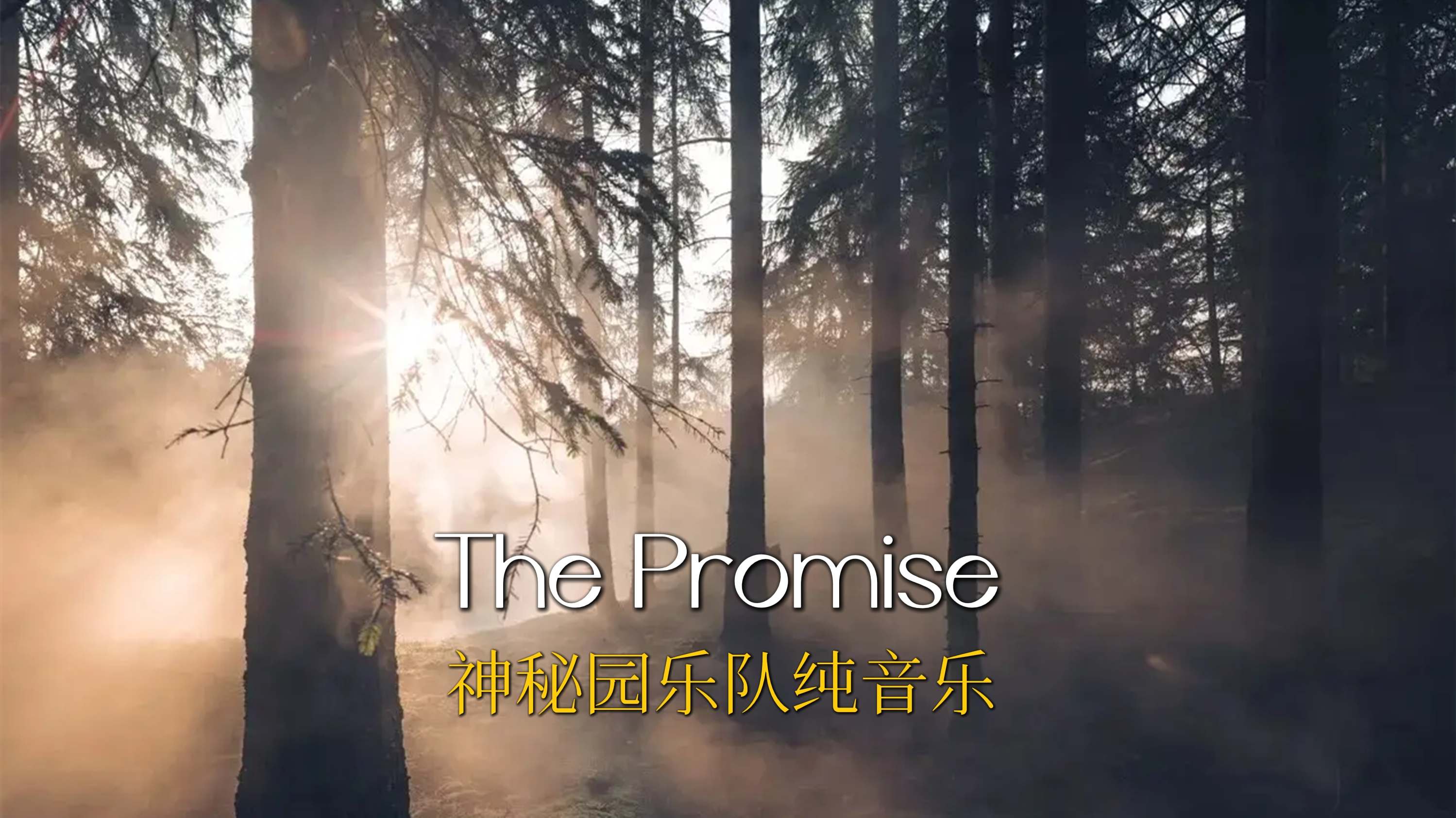 [图]神秘园抒情纯音乐《The Promise》,旋律缓缓犹如天籁,回味悠长