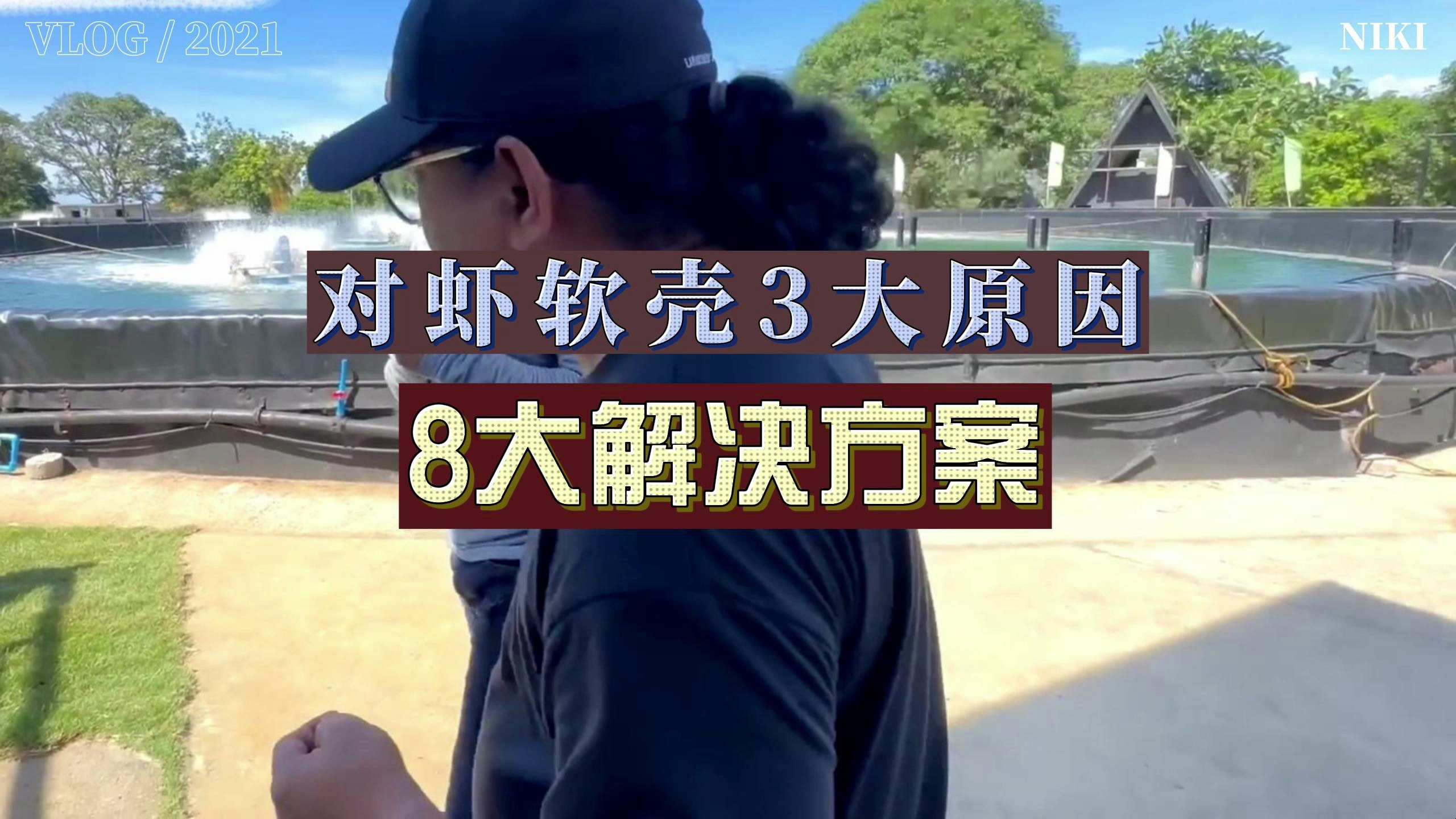 对虾软壳有3大原因!这8大解决方案,你需要了解!