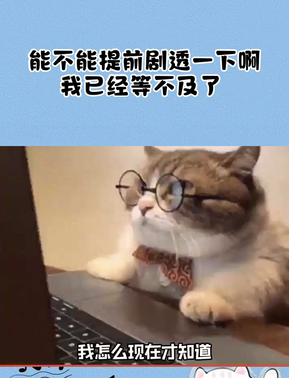 能不能提前剧透一下啊,我已经等不及了!