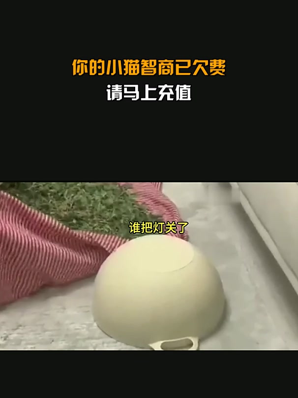 你的小猫智商已欠费,请马上充值